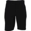 Nike Flex Hybrid Shorts Flat Front Golf Apparel