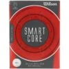 Wilson SmartCore Straight Distance Double Dozen Distance Golf Balls